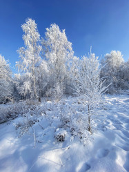 Similar image 21174497