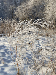 Similar image 21174498