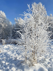 Similar image 21178863