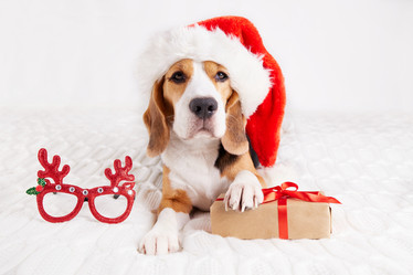 Similar image 21177335