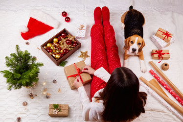 Similar image 21178865