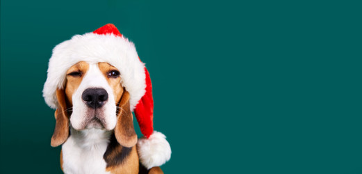 Similar image 21177338