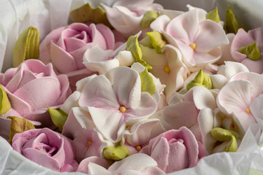 Similar image 21176642