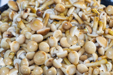 Similar image 21200435