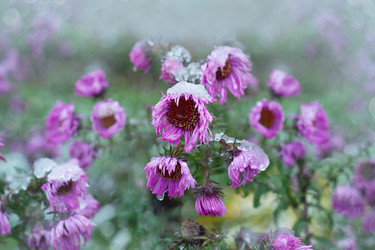 Similar image 21200443