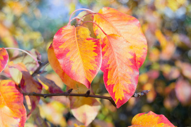 Similar image 21200447