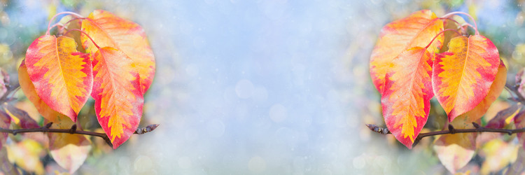 Similar image 21200448