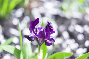 Similar image 21200449