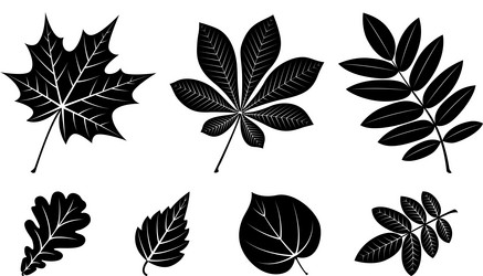 Similar image 21178871