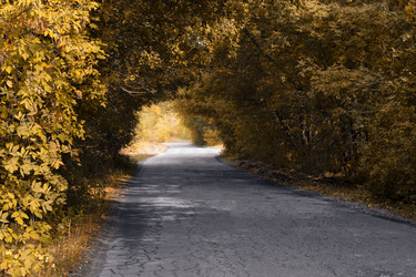 Similar image 21192591