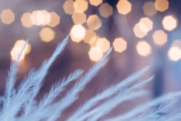 Similar image 21174535