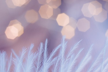 Similar image 21176768