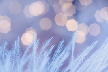 Similar image 21194173