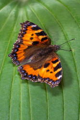 Similar image 21174442