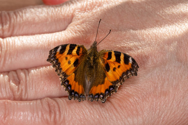 Similar image 21174444