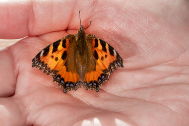 Similar image 21174445