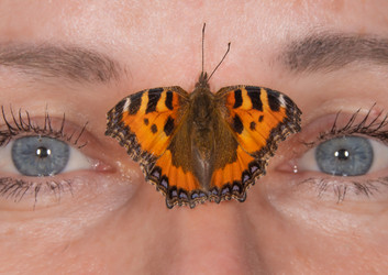 Similar image 21174447