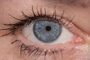 Similar image 21174459