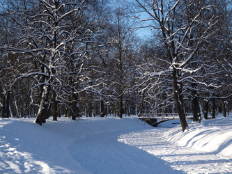 Similar image 21195135