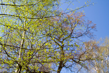 Similar image 21194175