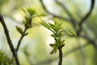 Similar image 21194532