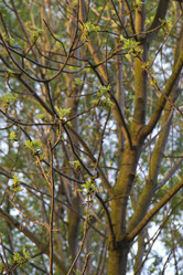 Similar image 21194533