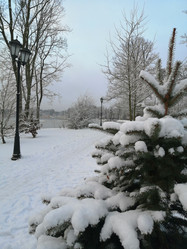 Similar image 21183304