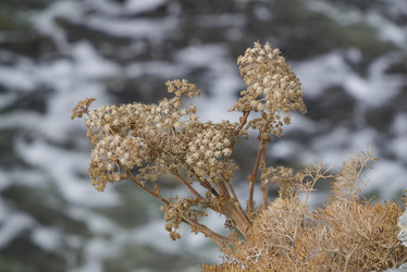 Similar image 21179885