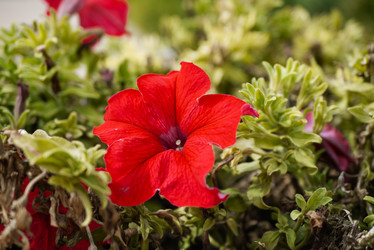 Similar image 21179887