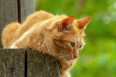 Similar image 21192489