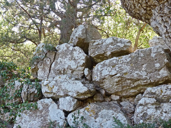 Similar image 21181069