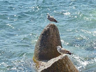 Similar image 21186695