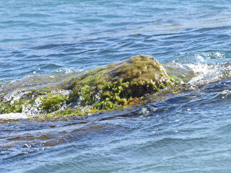 Similar image 21181070