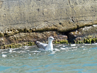 Similar image 21181071