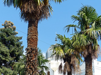 Similar image 21177356