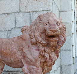 Similar image 21181079