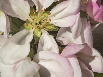 Similar image 21177758