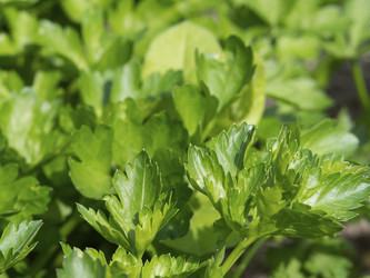 Similar image 21177760