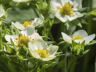 Similar image 21177761