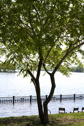 Similar image 21175449