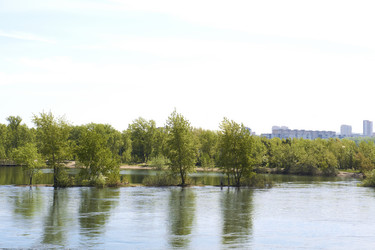 Similar image 21175457