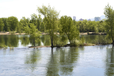 Similar image 21175459