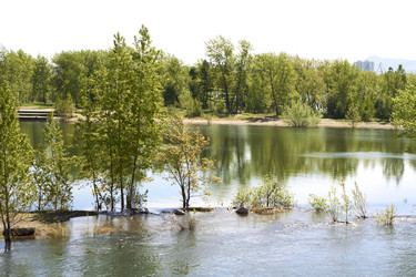 Similar image 21175460