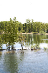 Similar image 21175461