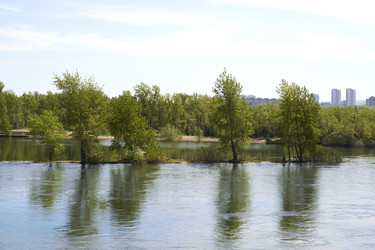 Similar image 21175464