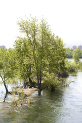 Similar image 21175499