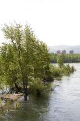 Similar image 21175500