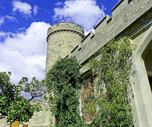 Similar image 21177359