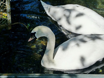 Similar image 21177363