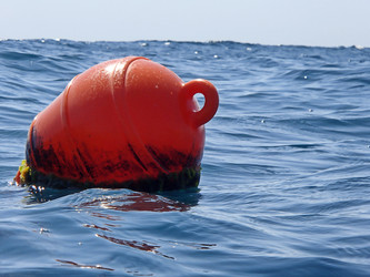 Similar image 21181086